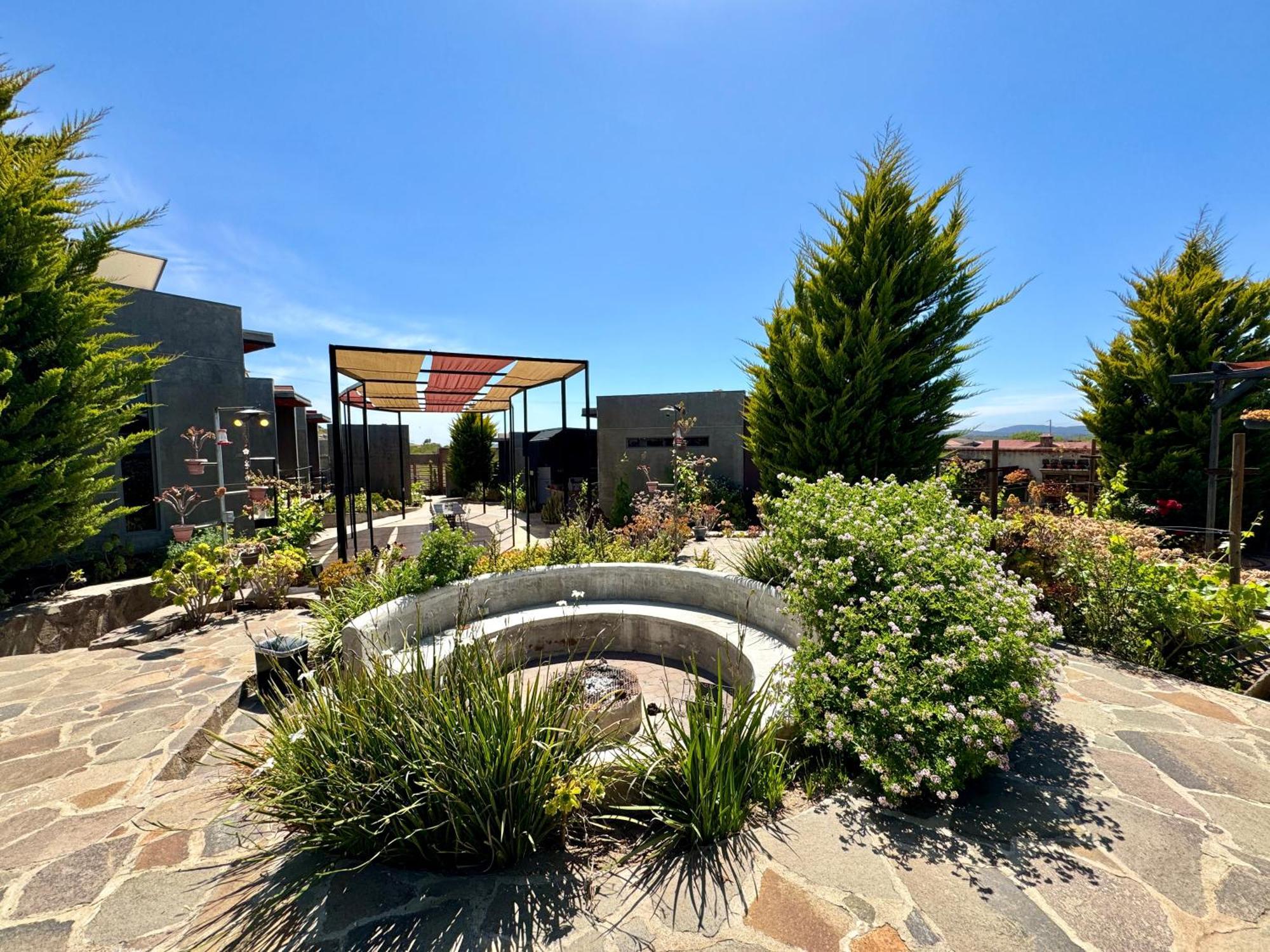Entre Vides Valle De Guadalupe Exterior photo
